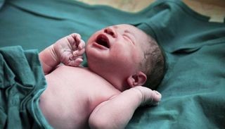 Isabella y Benjamín fueron los nombres más elegidos del 2018