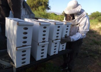 El gobierno provincial realiza en La Rioja el Primer Concurso de Mieles Riojanas