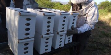 El gobierno provincial realiza en La Rioja el Primer Concurso de Mieles Riojanas