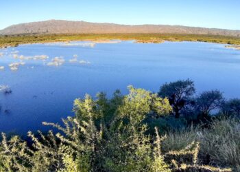 PRESERVAN EL AGUA DE DIQUES Y RESERVORIOS DURANTE LA TEMPORADA DE OTOÑO.