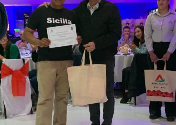 Récord histórico: Agroandina procesó más de 34 millones de kilogramos de tomates