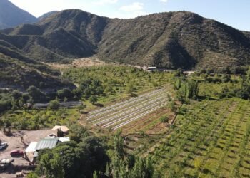 Se inauguró la primera finca de turismo cannábico argentina en La Rioja