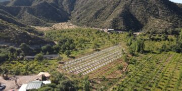 Se inauguró la primera finca de turismo cannábico argentina en La Rioja