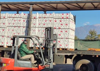 Hortícola Riojana se consolidó entre las nuevas empresas exportadoras argentinas