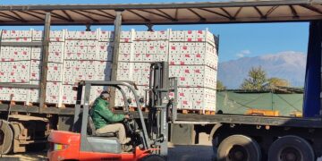 Hortícola Riojana se consolidó entre las nuevas empresas exportadoras argentinas