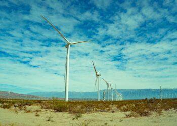 Aniversario N°12Parque Eólico Arauco: una industria riojana pionera en la generación de energía limpia