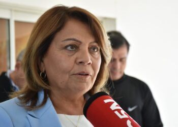 Precandidata a diputada nacional