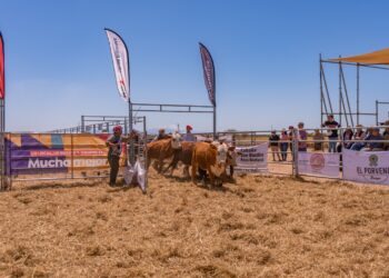 El Segundo Remate de Cabañas Riojanas ya tiene fecha y grandes expectativas