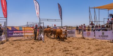 El Segundo Remate de Cabañas Riojanas ya tiene fecha y grandes expectativas