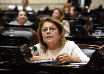Sesión en DiputadosBeba Aguirre destacó la incorporación de la violencia digital a la ley de Protección Integral a las Mujeres