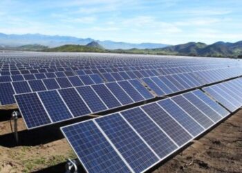 Arauco: desarrollo sustentable