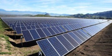 Arauco: desarrollo sustentable