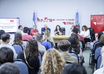 Abordaron los logros y desafíos de la Salud Mental en el ámbito de la salud pública