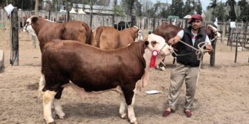 Kayne obtuvo tres nuevos reconocimientos en ExpoBra 2023