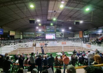 Kayne y Caudillos Riojanos obtuvieron premios en distintas categorías de la 76º edición de Jesús María