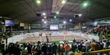 Kayne y Caudillos Riojanos obtuvieron premios en distintas categorías de la 76º edición de Jesús María