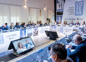 La Rioja en el Consejo Federal de Salud