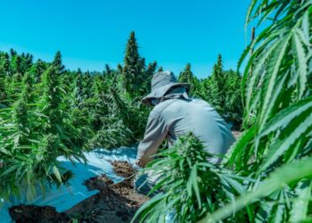 Agrogenética Riojana y Vivero San Gabriel cumplen 14 años a la vanguardia de la ciencia e industria agrícola