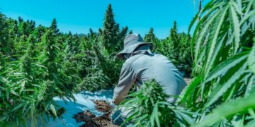 Agrogenética Riojana y Vivero San Gabriel cumplen 14 años a la vanguardia de la ciencia e industria agrícola