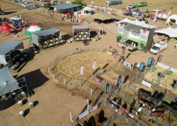 Kayne rompió récord en el Remate de Cabañas Riojanas al vender el animal que mejor se pagó