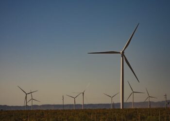 Parque Eólico Arauco y Cerdo de los Llanos se unen para generar energía renovable