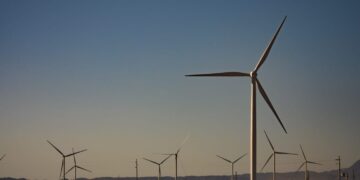 Parque Eólico Arauco y Cerdo de los Llanos se unen para generar energía renovable