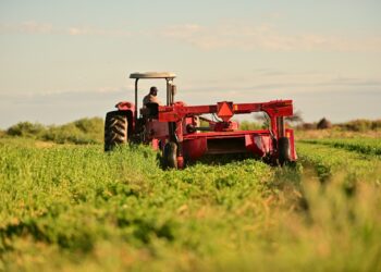 Alfa celebra 13 años fortaleciendo el sector agropecuario local