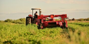 Alfa celebra 13 años fortaleciendo el sector agropecuario local