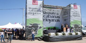 2º Remate de Cabañas Riojanas 2023