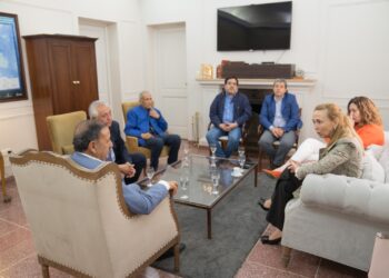 El Plan Provincial Sanitario impulsado por el gobernador Ricardo Quintela fue calificado como excepcional por la representante de la Organización Mundial de la Salud