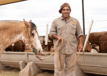 Kayne cumple 12 años en la innovación de la mejora genética de la ganadería riojana