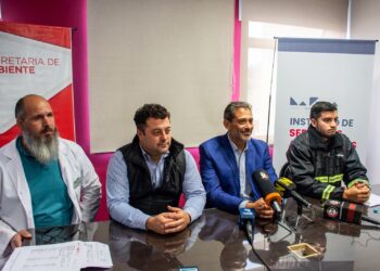 Ambiente descartó que muerte de flamencos sea por contaminación y continúa estudiando la causa para prevenir otros casos