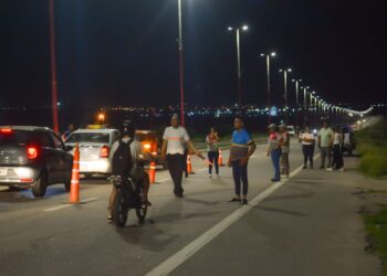 RESULTADOS DE LOS OPERATIVOS DE CONTROL VEHICULAR DE NAVIDAD
