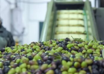 La Cámara de Industriales Olivícolas de La Rioja brindó su apoyo a iniciativa del gobernador para la aplicación de la cuasi moneda