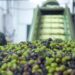 La Cámara de Industriales Olivícolas de La Rioja brindó su apoyo a iniciativa del gobernador para la aplicación de la cuasi moneda