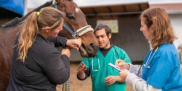 El Ministerio de Salud lanzó una alerta por casos de Encefalomielitis Equina La Rioja