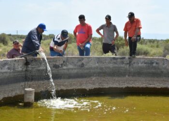 Emergencia hidrica
