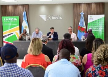 Articulación productiva
