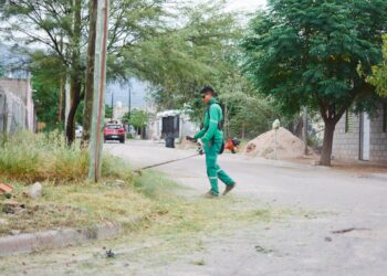 Intensifican acciones sanitarias y de territorio para controlar el brote de dengue