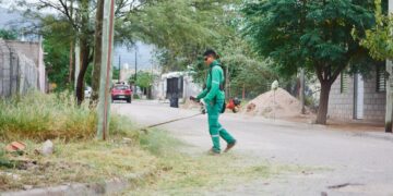 Intensifican acciones sanitarias y de territorio para controlar el brote de dengue