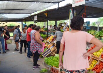 Desde el martes 26