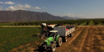 Agroandina alcanzó en abril el mismo récord de cosecha logrado en 2023