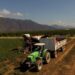 Agroandina alcanzó en abril el mismo récord de cosecha logrado en 2023