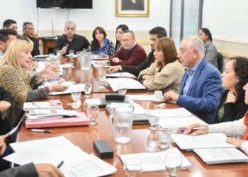 Salud pública brindó aportes para la reforma de la Constitución Riojana para garantizar un servicio gratuito, universal, integral, regional, equitativo y de calidad de