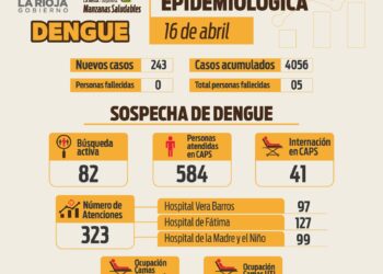 Informe situación sanitaria por dengue del 16 de abril