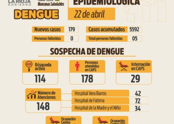 Informe situación sanitaria por dengue del 22 de abril