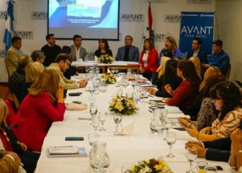 Presentaron el Programa Provincial de Fortalecimiento de la Alfabetización a las intendentas e intendentes departamentales