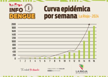 La provincia continúa transitando el brote de dengue y piden mantener los cuidados en el hogar