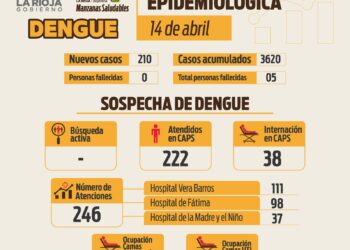 Informe situación sanitaria por dengue del 14 de abril