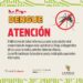 Dengue